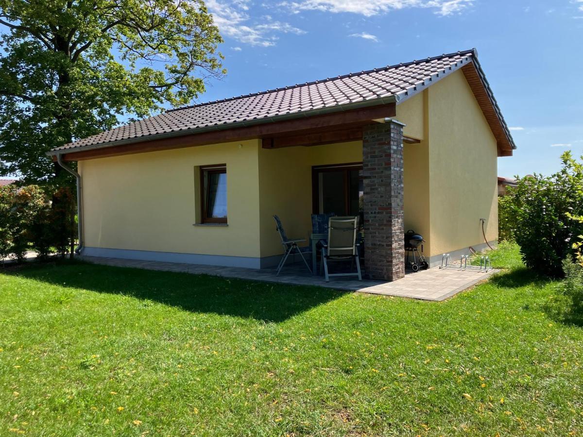 Havelstern Ketzin, Hecht